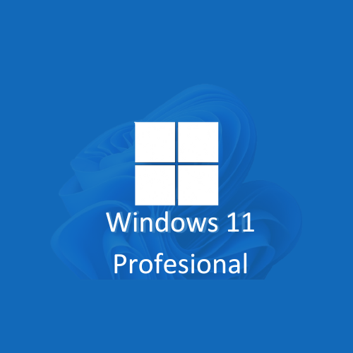 Windows 11 Profesional
